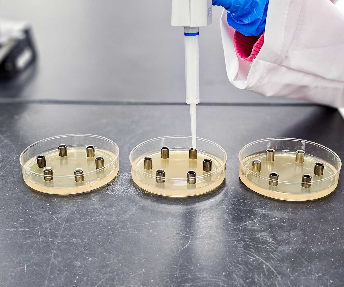 a pipette and three antibiotic testing dishes